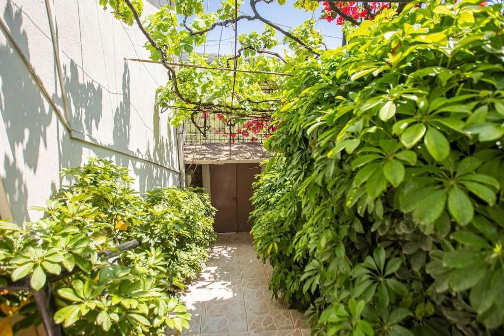 Apartament Blue Maraci 2 - Sea View, Kitchen, Access *